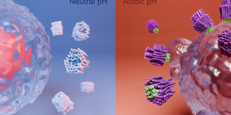 Ciência: Pesquisadores desenvolvem nanorrobôs que podem “matar” células cancerígenas