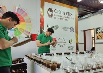 Espírito Santo: Governo do Estado abre inscrições para o 3º Prêmio de Cafés Especiais