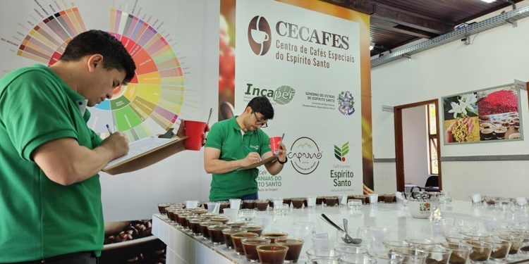 Espírito Santo: Governo do Estado abre inscrições para o 3º Prêmio de Cafés Especiais