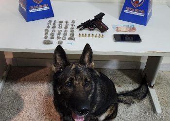 Guarapari: PM e K9 Mike apreendem arma de drogas
