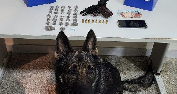 Guarapari: PM e K9 Mike apreendem arma de drogas