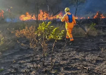 Minas Gerais: Incêndios atingem milhares de hectares em unidades de conservação