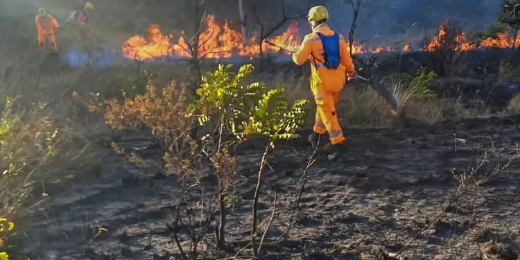 Minas Gerais: Incêndios atingem milhares de hectares em unidades de conservação