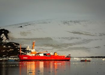 STF: X começa a ficar indisponível no Brasil após decisão de Moraes