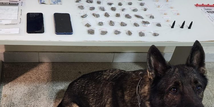 Guarapari: Ação do 10º Batalhão resulta em apreensões e prisões