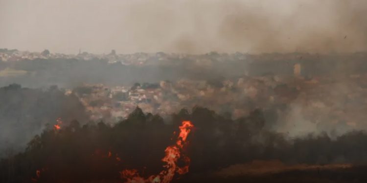 São Paulo: Onda de incêndios atinge cidades do interior e mata duas pessoas
