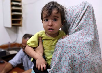 OMS: Israel e Hamas estabelecem pausas de três dias na luta por vacinas contra a poliomielite em Gaza