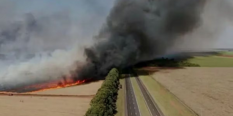 São Paulo: Estado tem 41 cidades com alerta máximo para queimadas