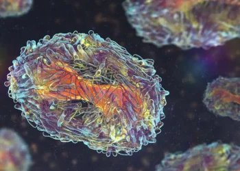 Mpox: Sintomas da doença e o que fazer em caso de suspeita