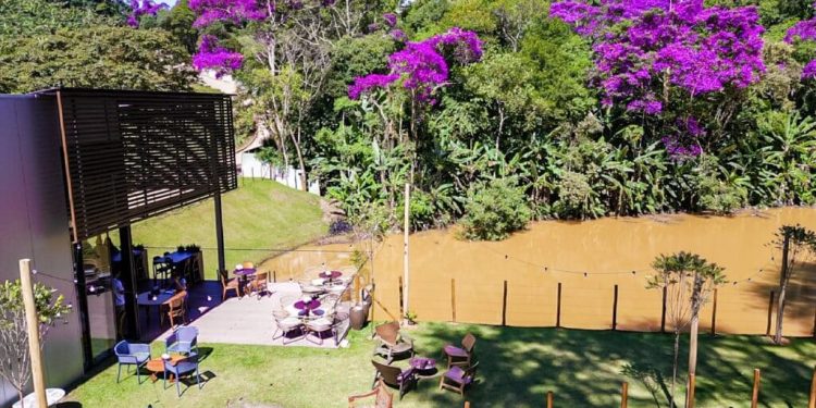 Turismo: Ipês em floração viram atração turística pelo Brasil