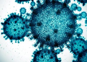 Saúde: Covid é responsável por um a cada quatro óbitos por síndrome respiratória