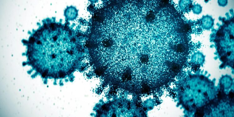 Saúde: Covid é responsável por um a cada quatro óbitos por síndrome respiratória