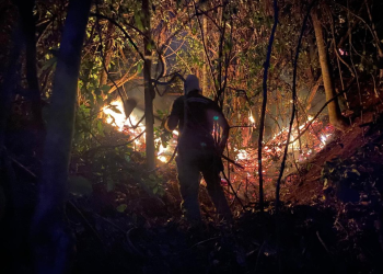 Espírito Santo: Corpo de Bombeiros intensifica combate a incêndios florestais com Operação Saturação