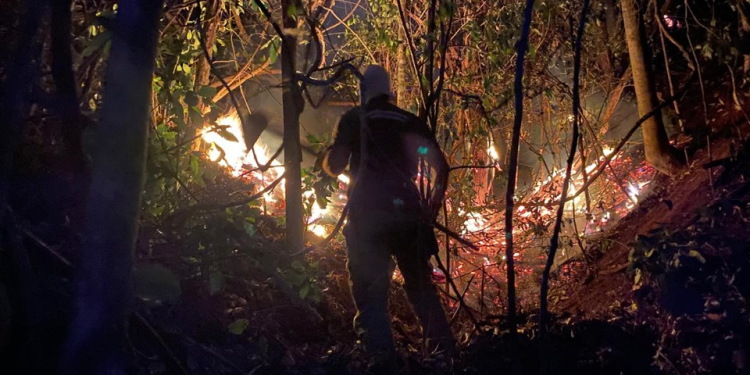 Espírito Santo: Corpo de Bombeiros intensifica combate a incêndios florestais com Operação Saturação