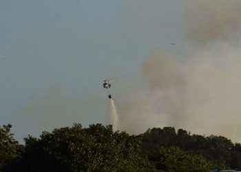 Guarapari: Incêndio na APA de Setiba está controlado e sem risco de propagação