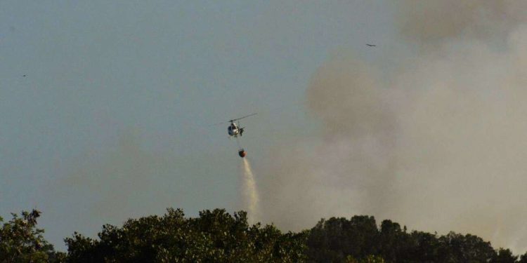 Guarapari: Incêndio na APA de Setiba está controlado e sem risco de propagação