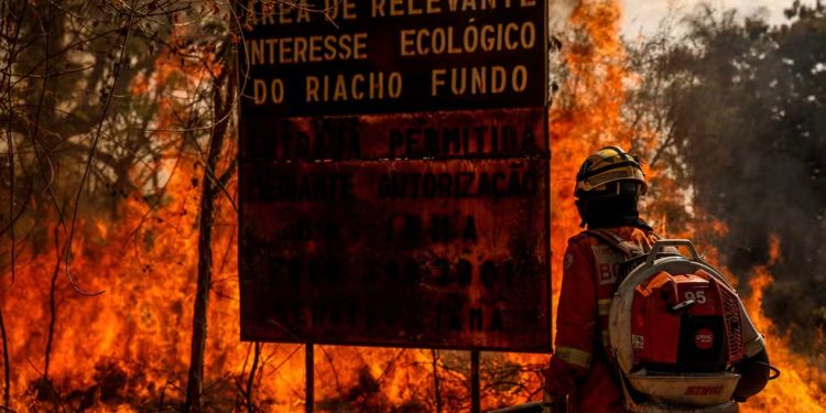 Meio Ambiente: Desmatamento no Cerrado emite 135 milhões de toneladas de CO2 na atmosfera