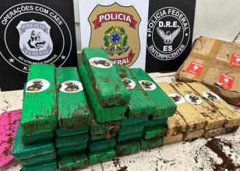 Espírito Santo: PF apreende 30 kg de maconha durante fiscalização em empresa de envio de mercadorias