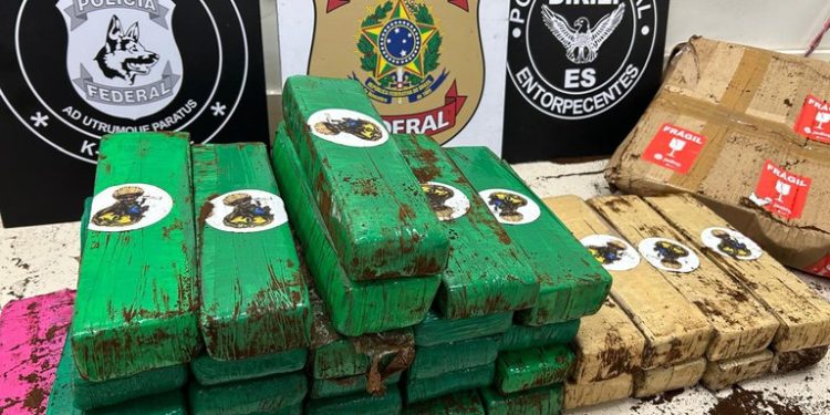 Espírito Santo: PF apreende 30 kg de maconha durante fiscalização em empresa de envio de mercadorias