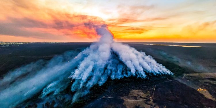 Cooperação: Brasil busca ajuda internacional para combate às queimadas