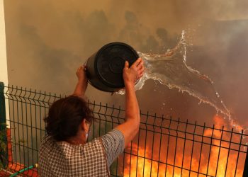 Portugal: Incêndios florestais deixam pelo menos 7 mortos