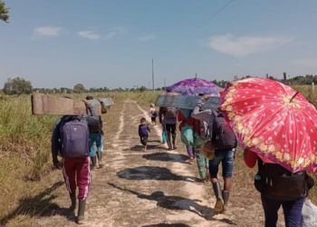 Clima: Seca afeta 358 terras indígenas na Amazônia Legal em 2024