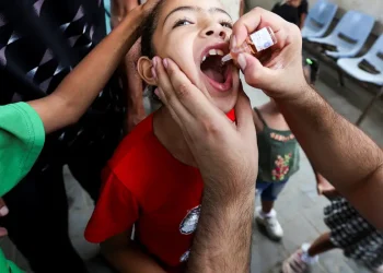 Ajuda humanitária: ONU inicia vacinação contra poliomielite em crianças de Gaza