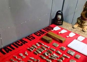 Mimoso do Sul: Polícia Militar apreende drogas em mata