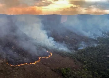 Meio Ambiente: Brasil concentra 76% dos incêndios na América do Sul
