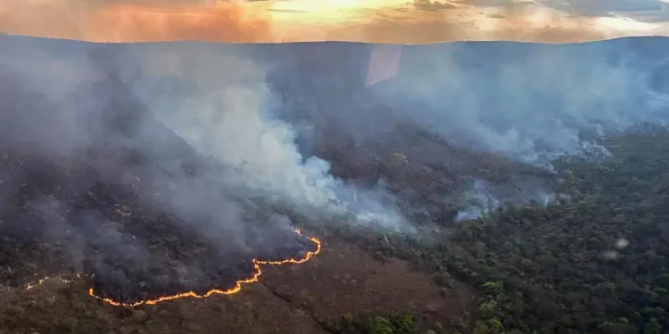 Meio Ambiente: Brasil concentra 76% dos incêndios na América do Sul