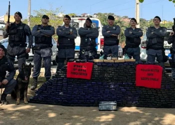 Polícia Militar: Mais de meia tonelada de maconha é apreendida no Sul do Estado