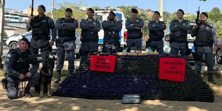 Polícia Militar: Mais de meia tonelada de maconha é apreendida no Sul do Estado