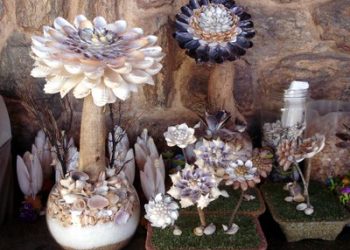 Piúma: Projeto de Lei oficializa Piúma como a “Cidade das Conchas”