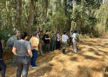 Espírito Santo: Castelo recebe capacitação em coleta de sementes no Parque Mata das Flores