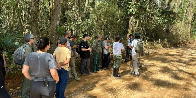 Espírito Santo: Castelo recebe capacitação em coleta de sementes no Parque Mata das Flores