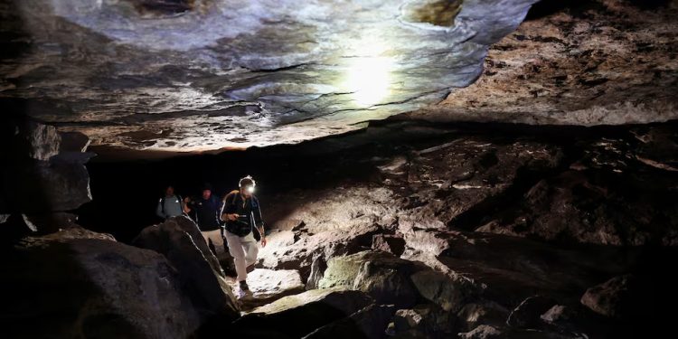 Colômbia: Agricultores migram do cultivo de coca para o ecoturismo