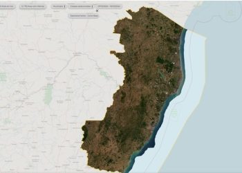 Espírito Santo: Estado não registra desmatamento ou queimadas ilegais nos últimos 12 dias