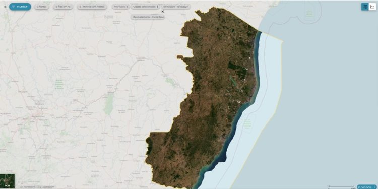 Espírito Santo: Estado não registra desmatamento ou queimadas ilegais nos últimos 12 dias