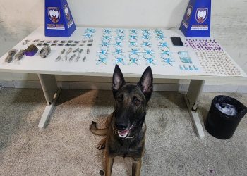 Guarapari: PM apreende drogas, recupera veículos com restrição e detém indivíduos com mandado de prisão