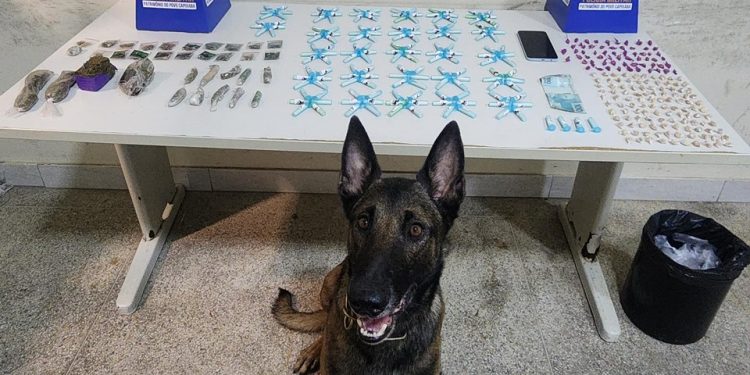 Guarapari: PM apreende drogas, recupera veículos com restrição e detém indivíduos com mandado de prisão