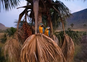 Turismo: Experiências turísticas que serão vitrines do Brasil no mundo