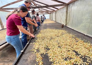 Rio Novo do Sul: Agricultores fazem visita técnica em sítio referência na produção de cafés especiais em Castelo