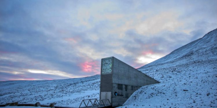 Noruega: Banco de sementes pode salvar a humanidade