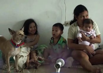 Filipinas: Meio milhão de pessoas buscam refúgio enquanto o super tufão Man-Yi atinge o país