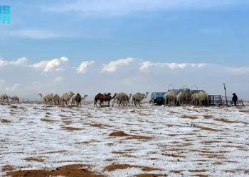 Arábia Saudita: Deserto registra neve pela primeira vez na história