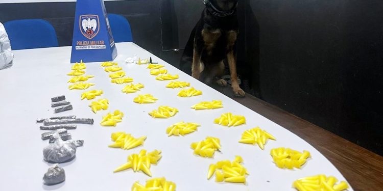 Guarapari: Militares do 10º PM apreendem drogas no fim de semana