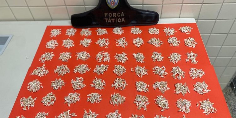 Anchieta: Casal é preso pela PM com mais de 1900 pedras de crack