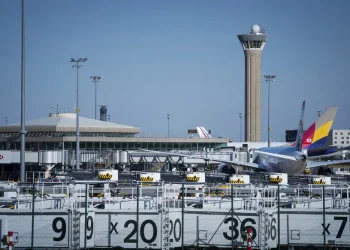 França: Cadela foge de avião e operação inédita fecha o aeroporto Charles de Gaulle