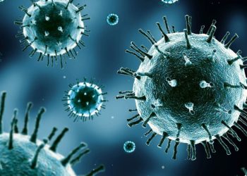 México: Autoridades emitem alerta epidemiológico por surto de bactéria Klebsiella