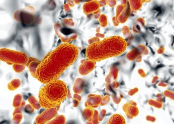 México: Surto de bactéria Klebsiella mata pelo menos 13 crianças